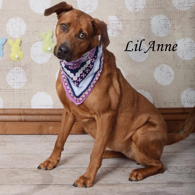 Lil Anne
