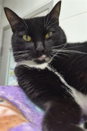 XENA