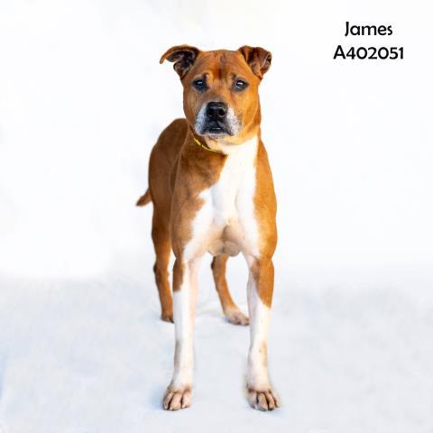 JAMES 1