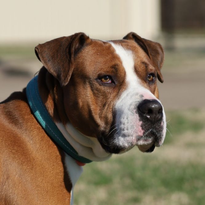 Jax