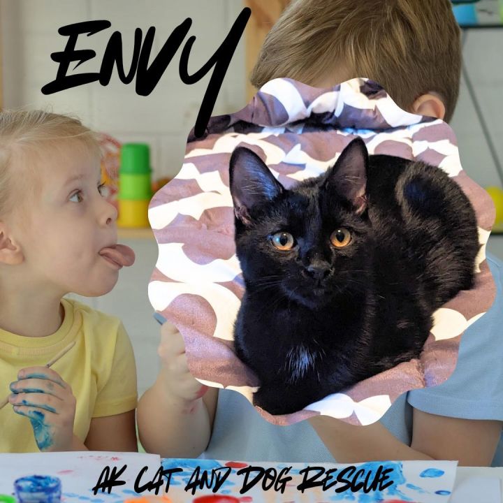 Envy 1