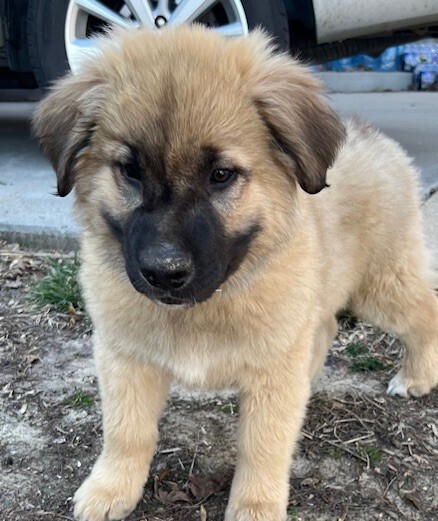 Baby Teddy 5