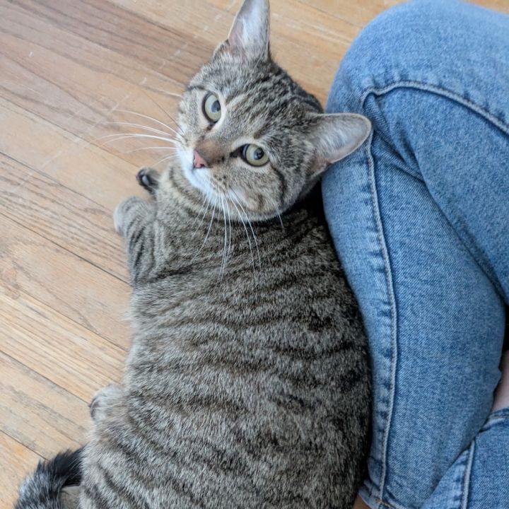 Sam 4