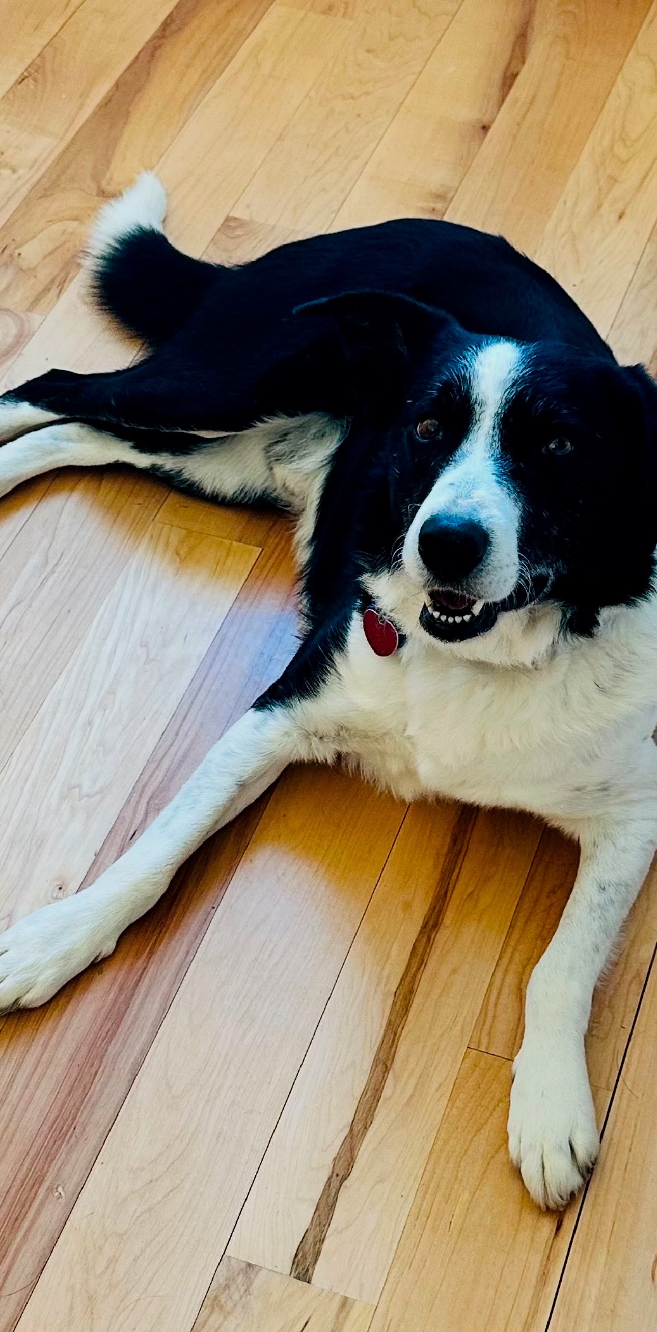 Jack
