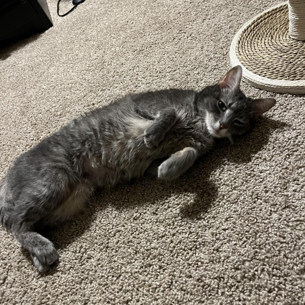 Violet