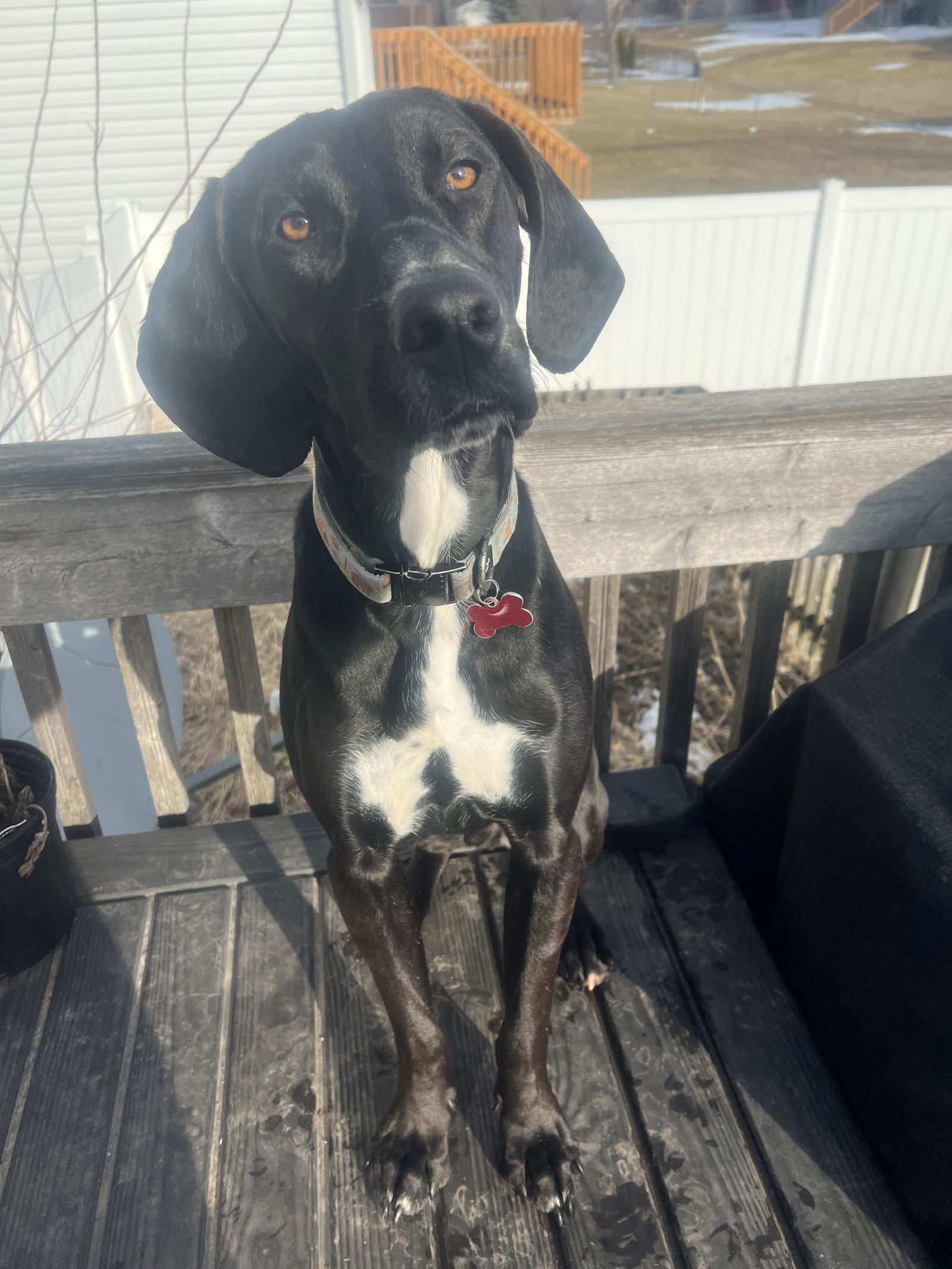 Otis