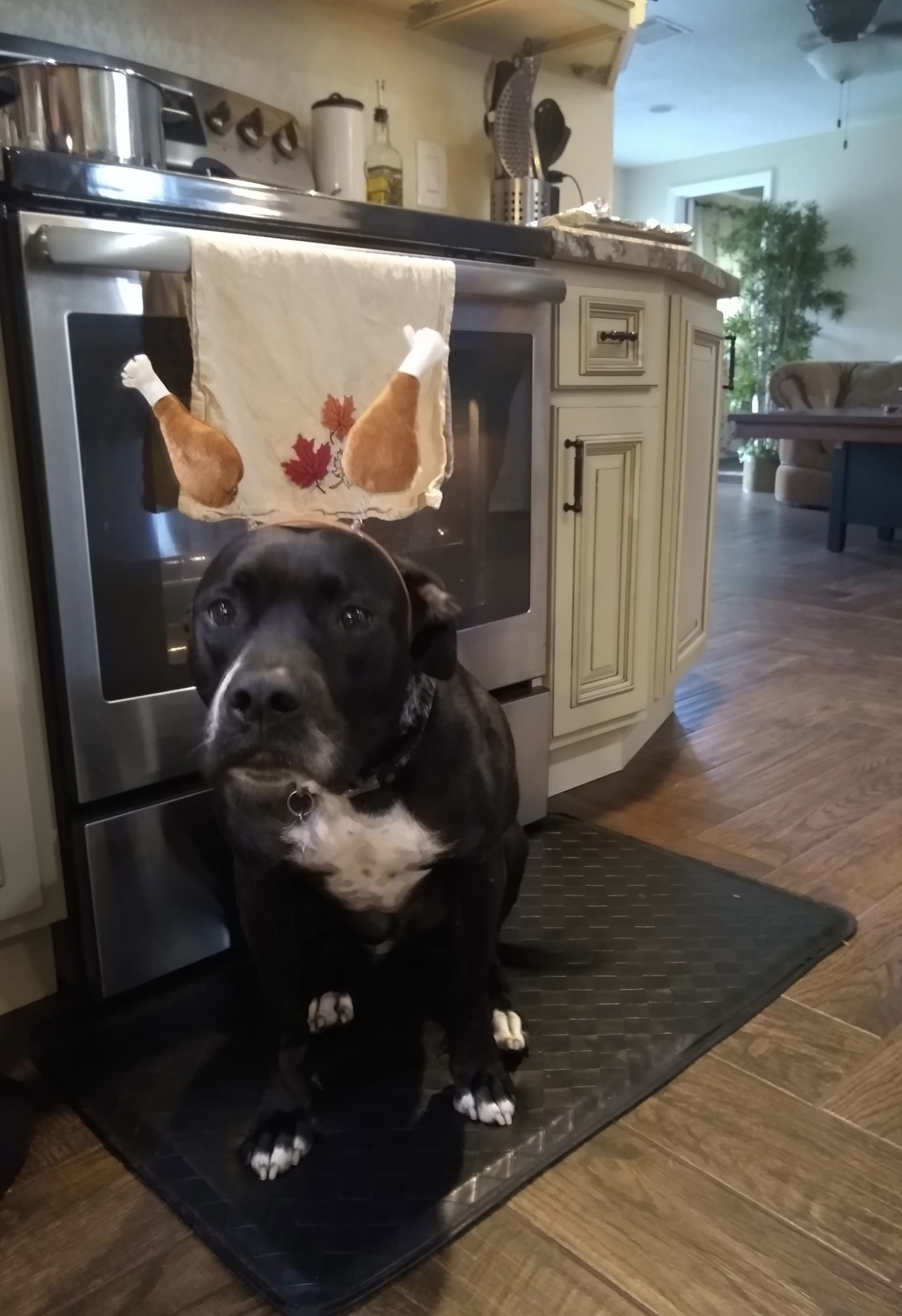 Rosie