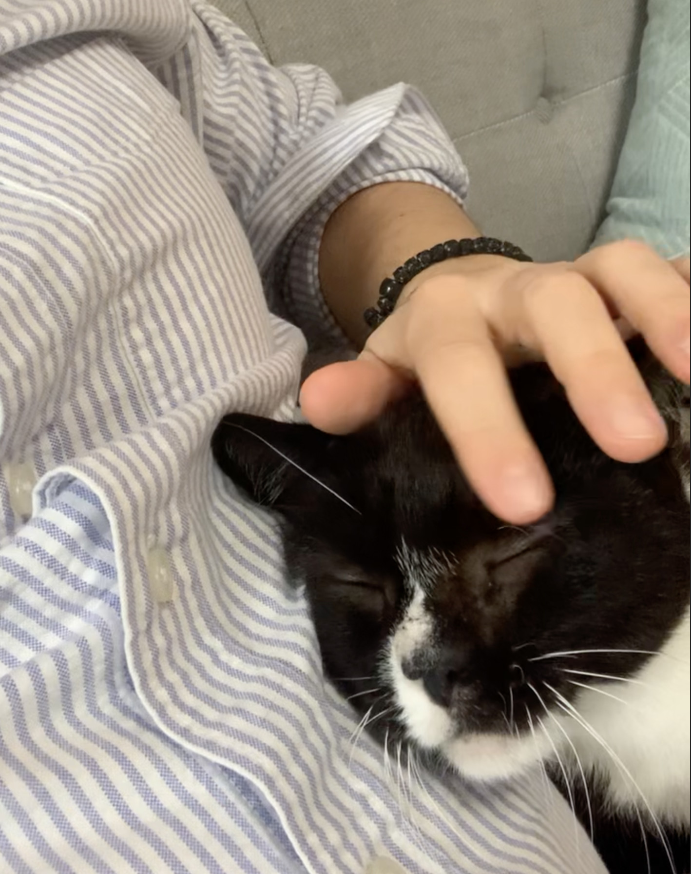 Beans Polydactyl!