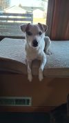 Eddie photo 1