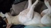 Eddie photo 2