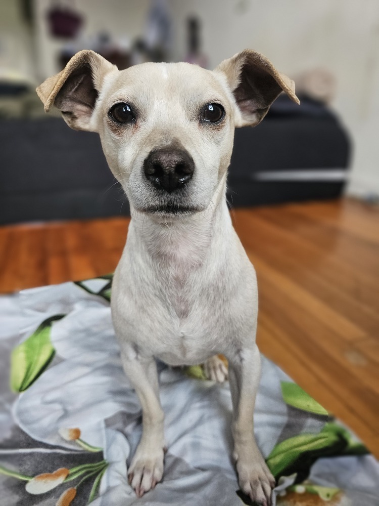 Charlie