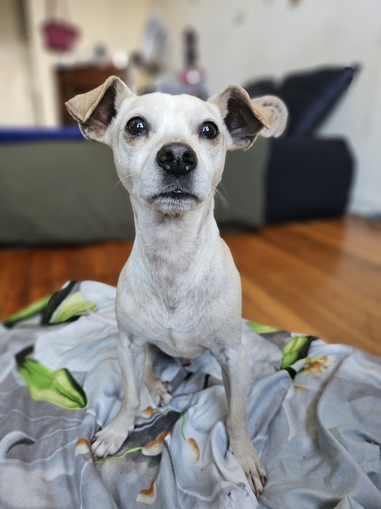 Charlie