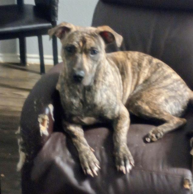 FIONA