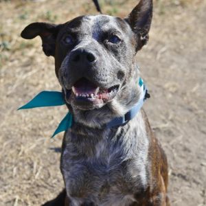 MAJOR, Senior Male unknown
