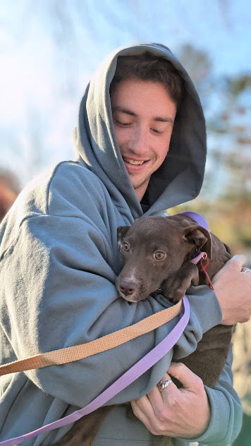 Penny - Perfect Pup!