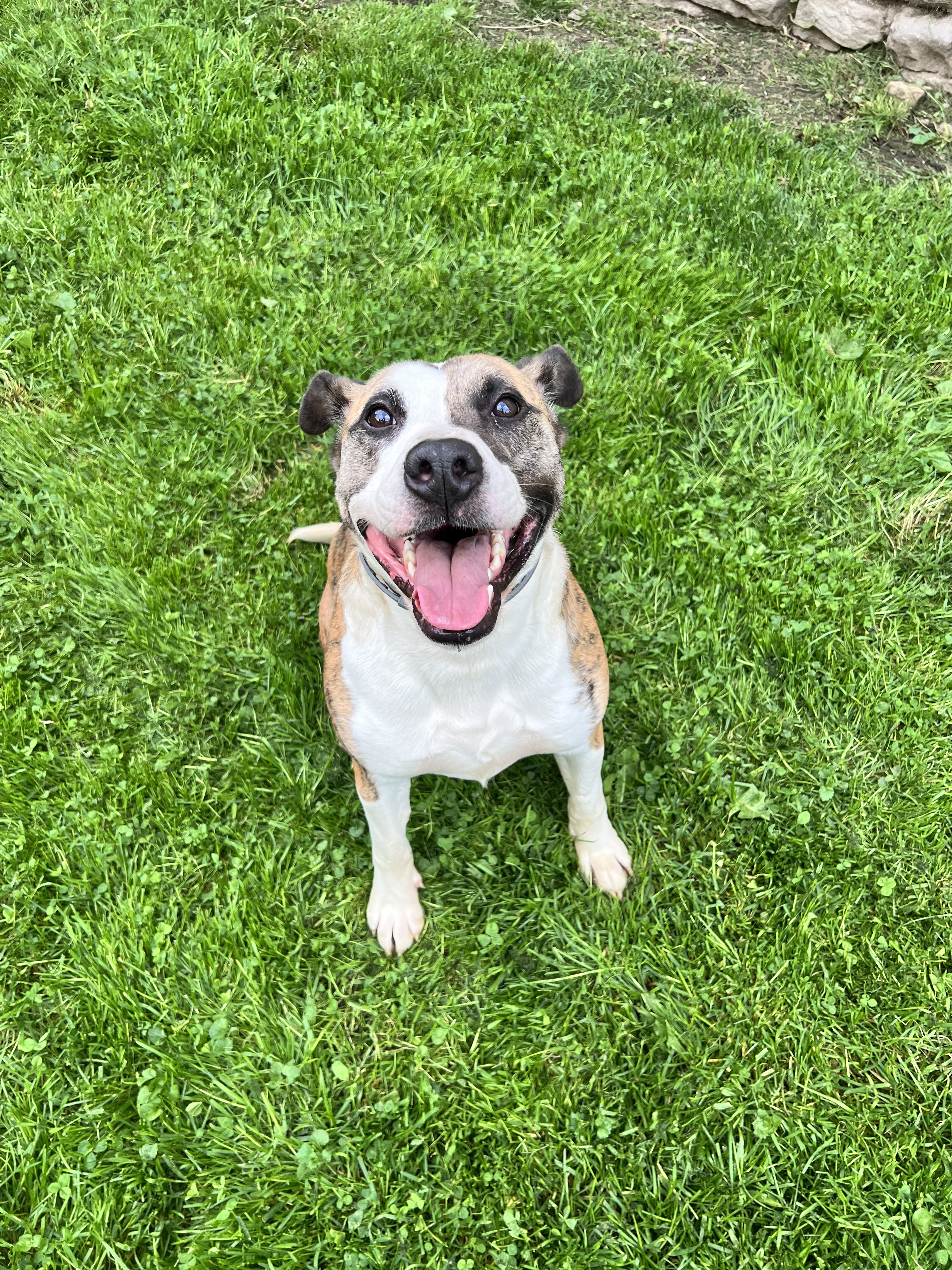 Duncan