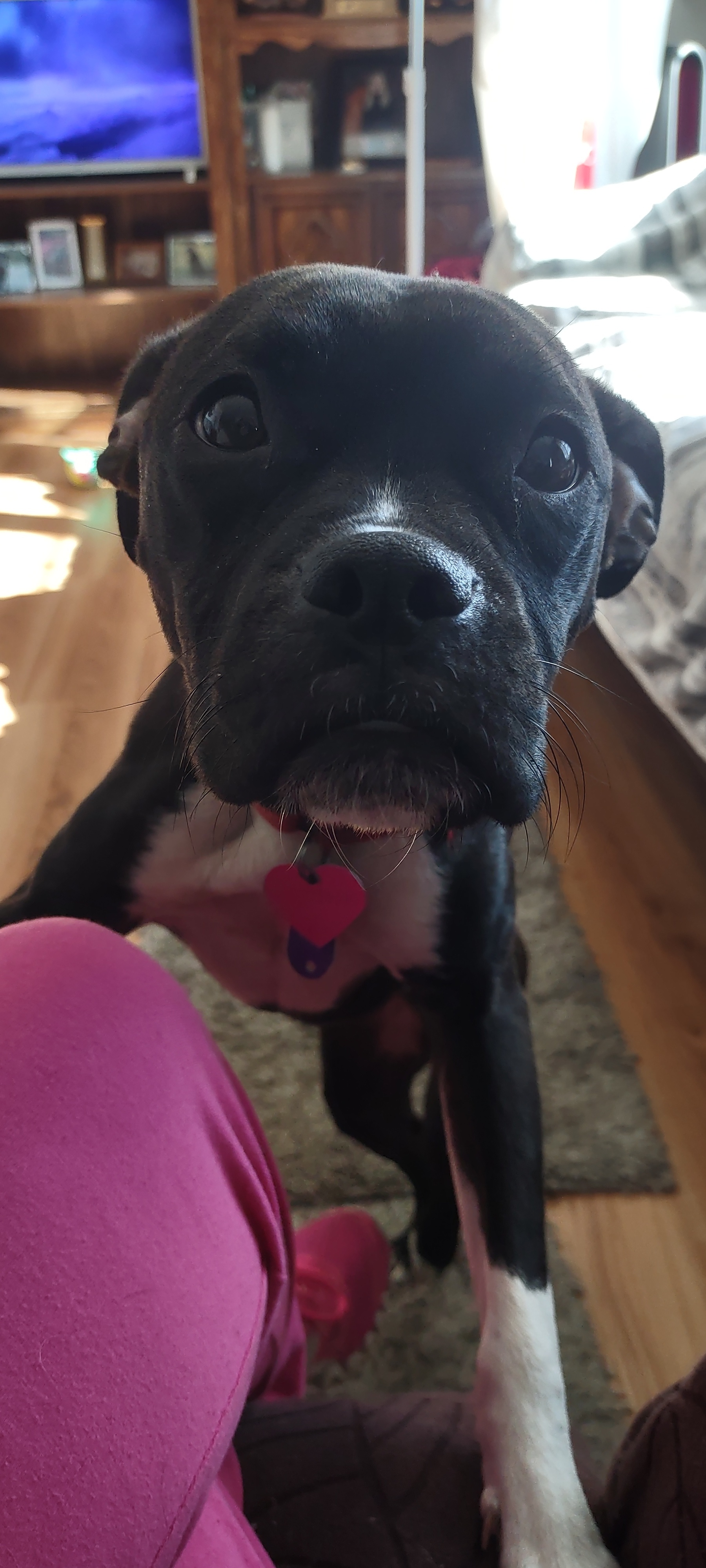 Bailey