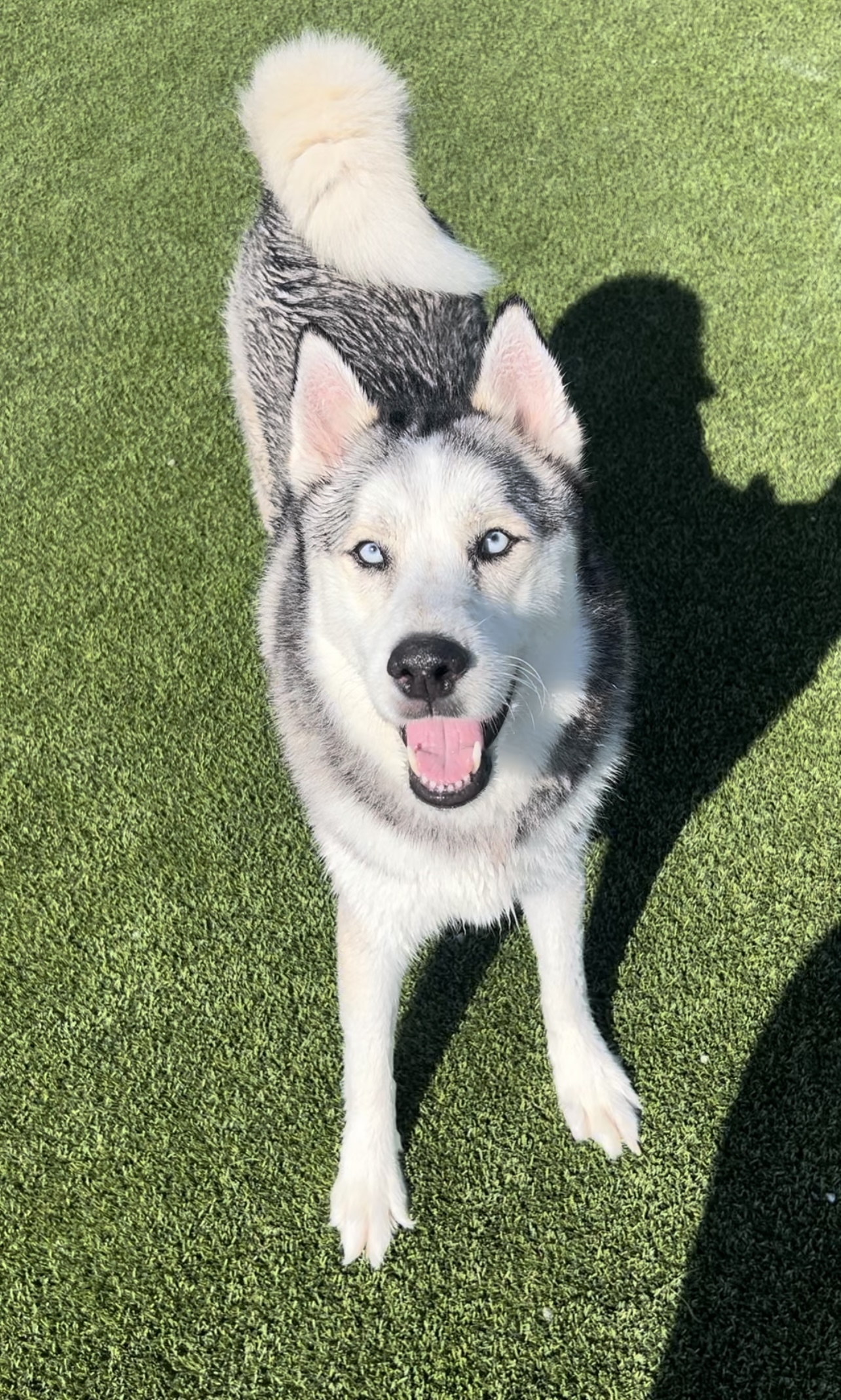 Yukon