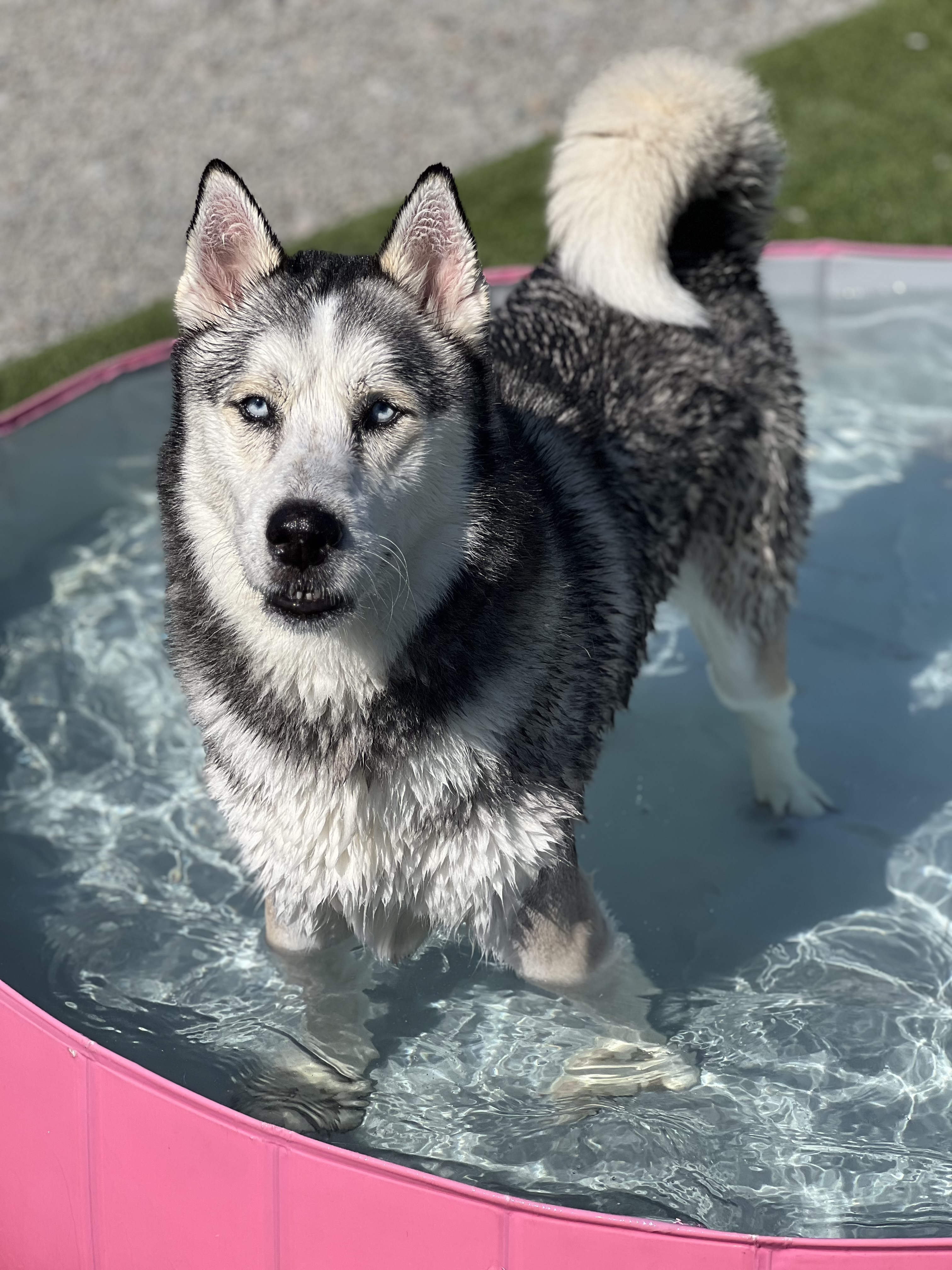 Yukon