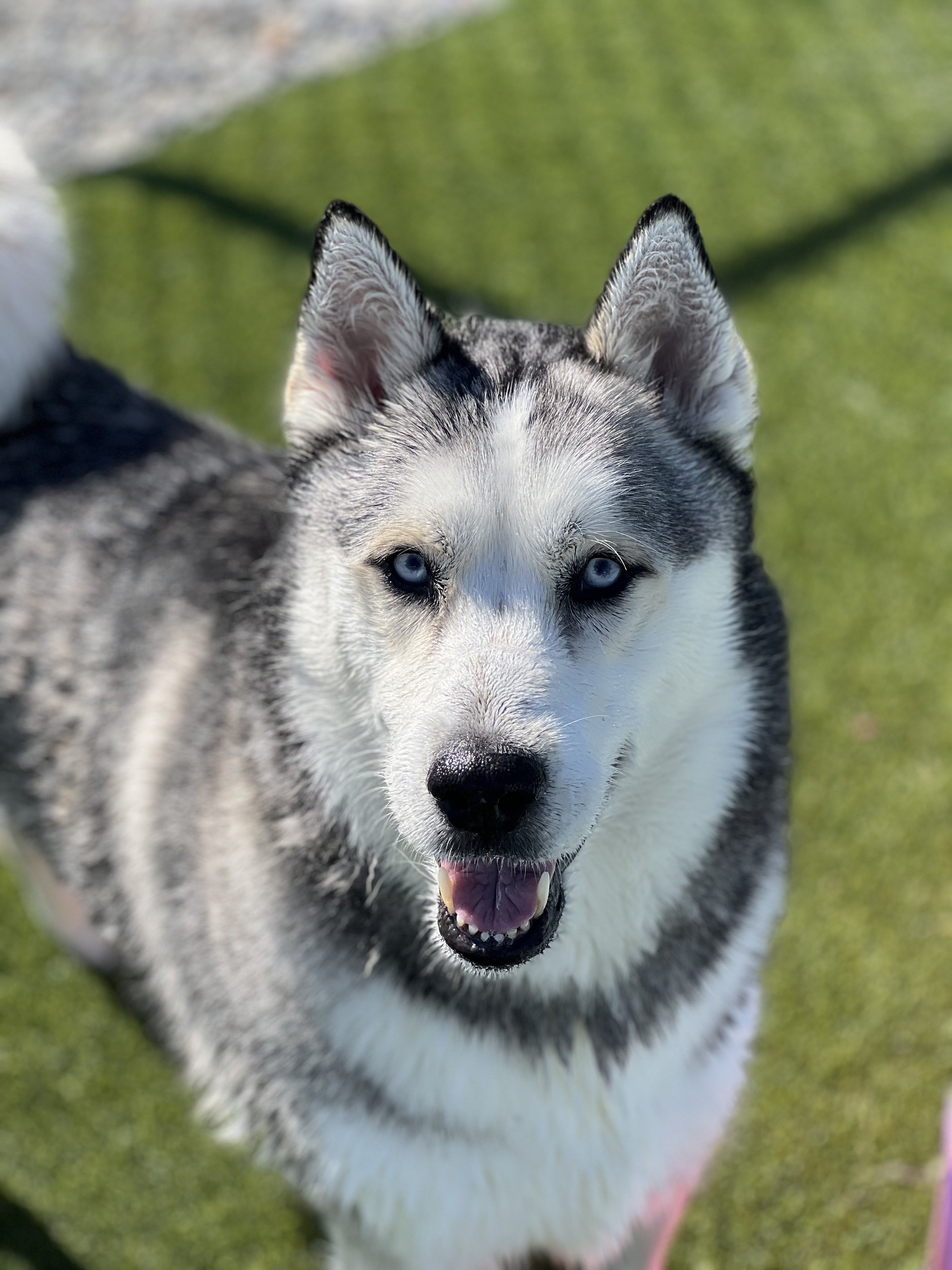 Yukon