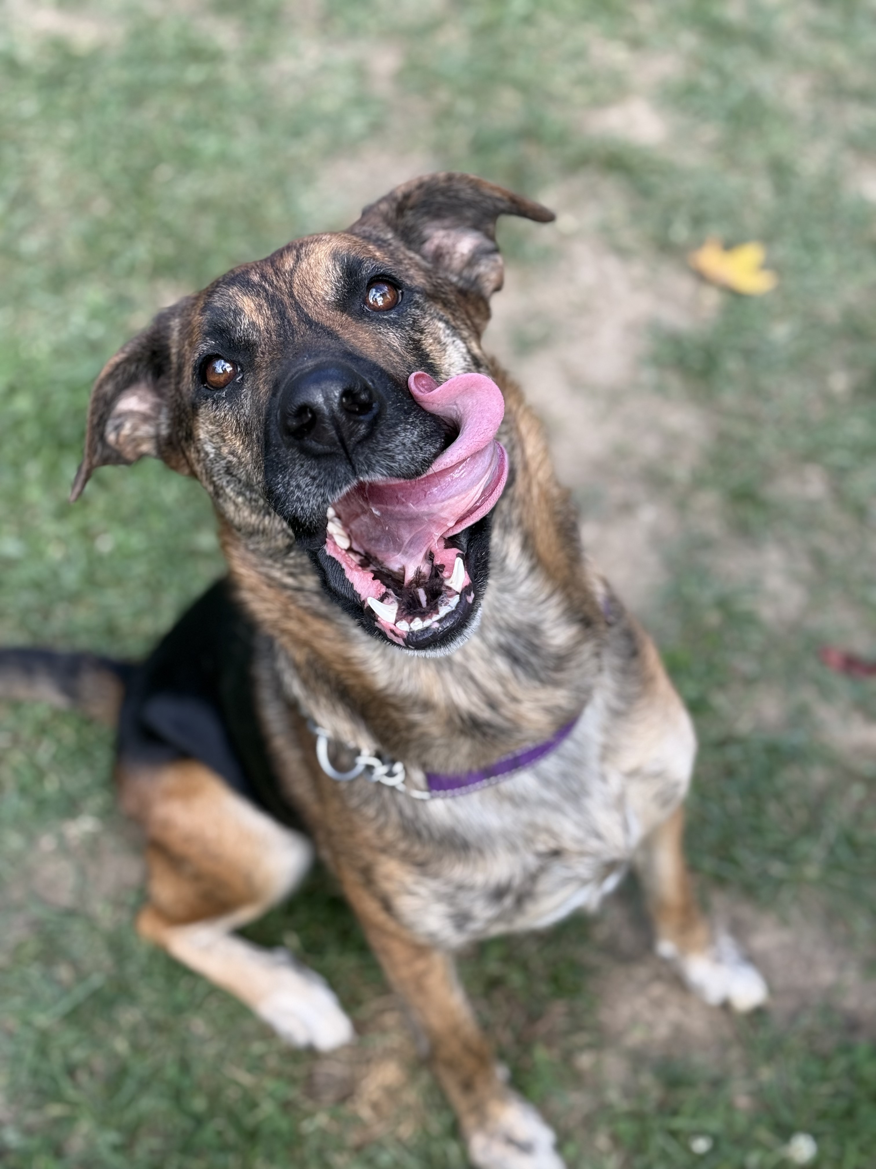 Kiera