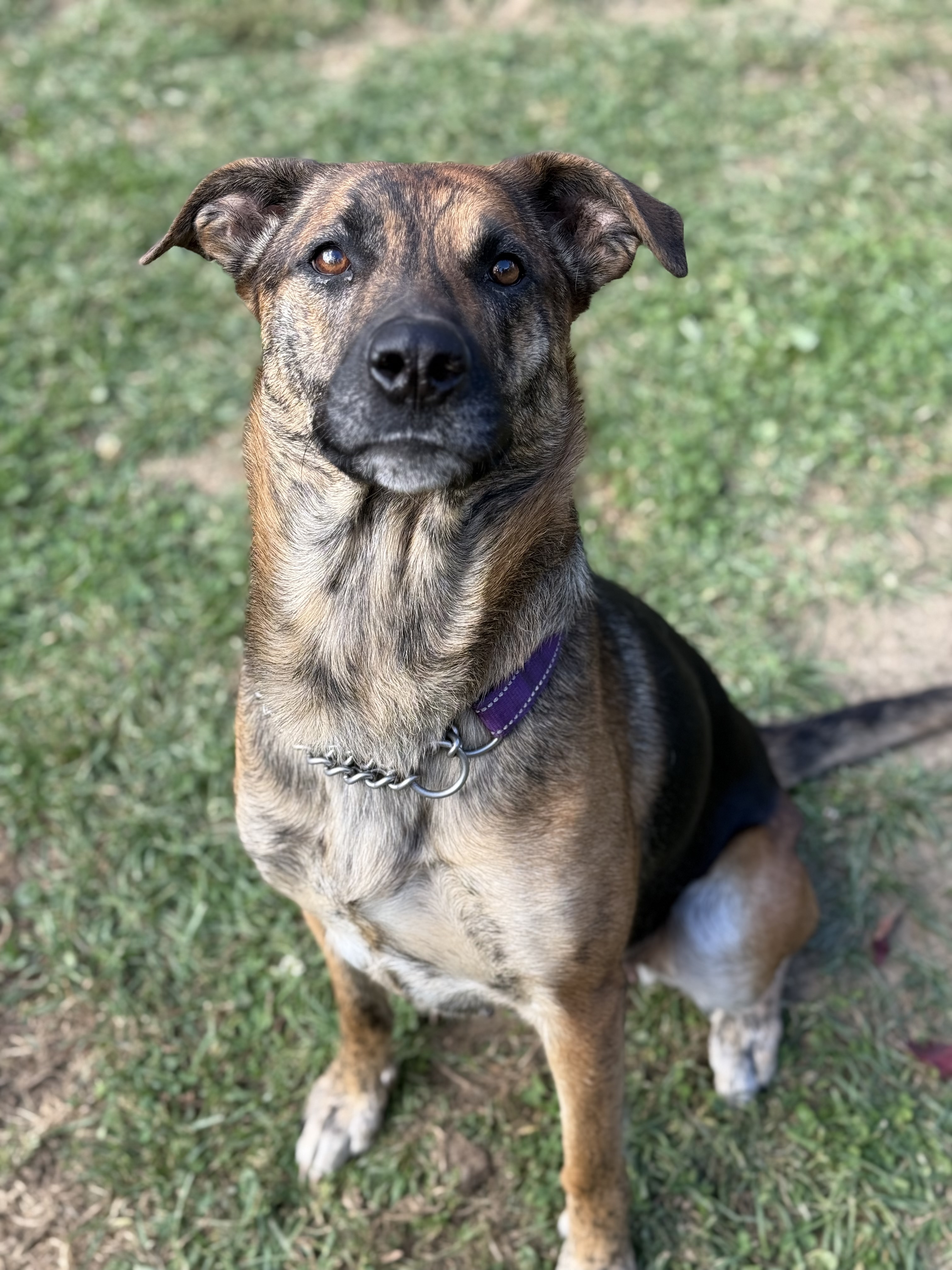 Kiera