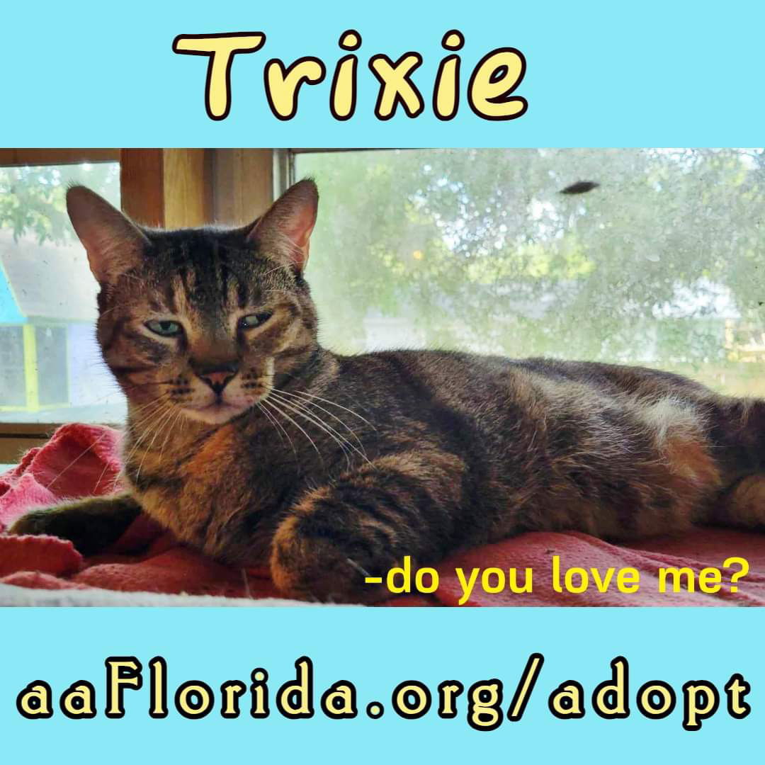 Trixie
