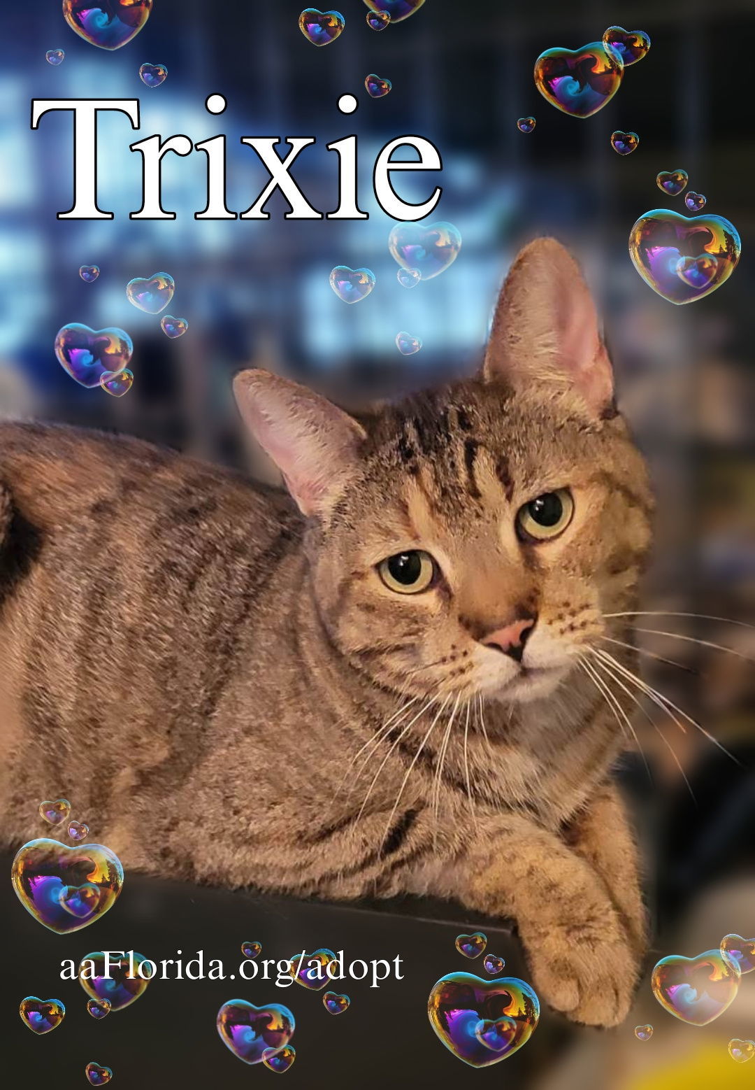 Trixie