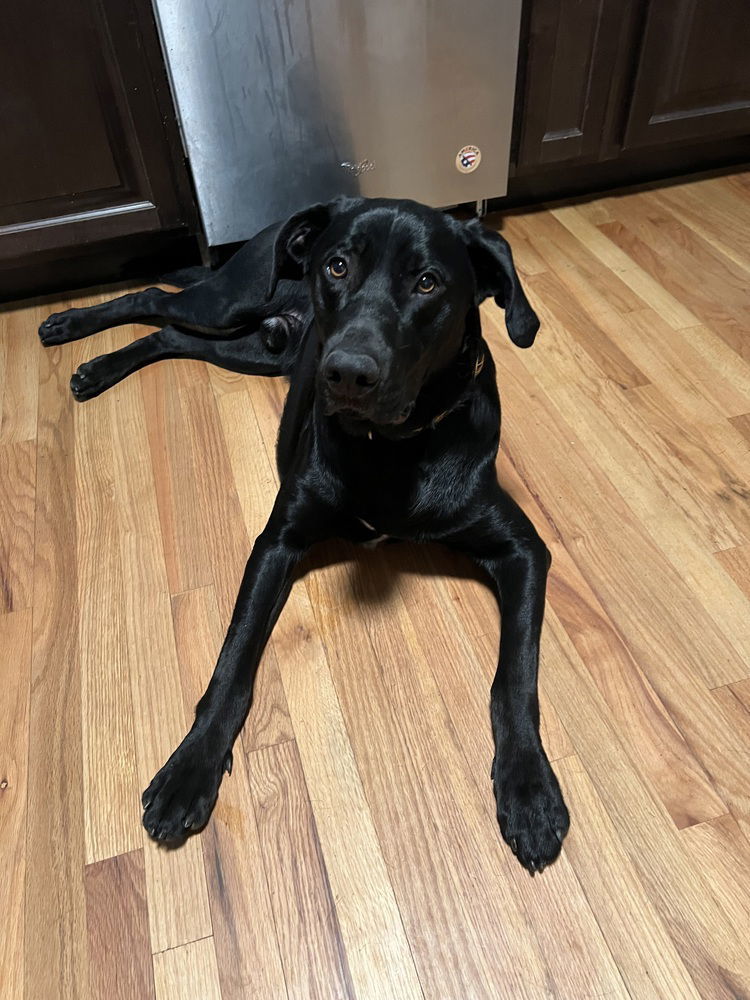 Huck