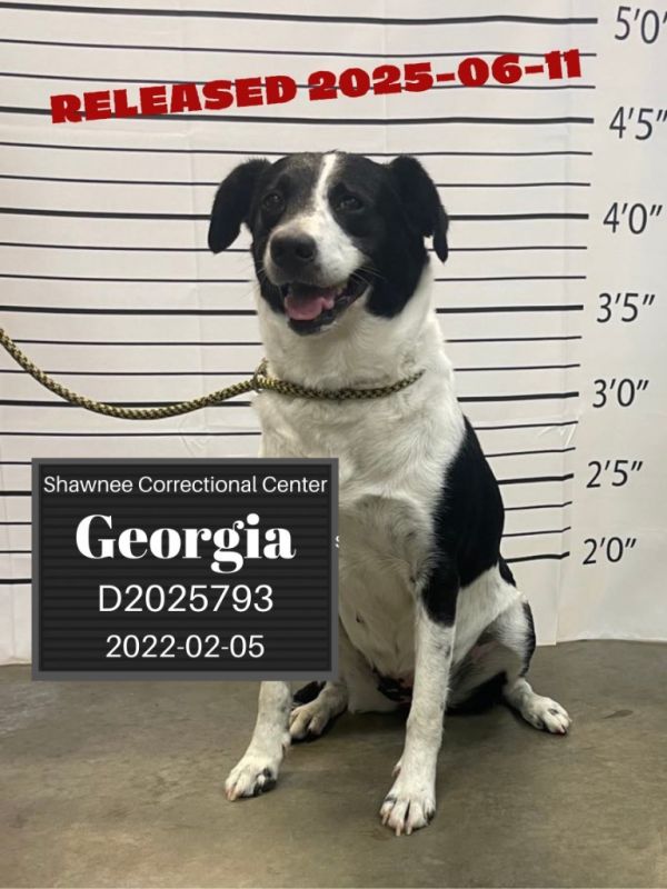 Georgia thumbnail 1