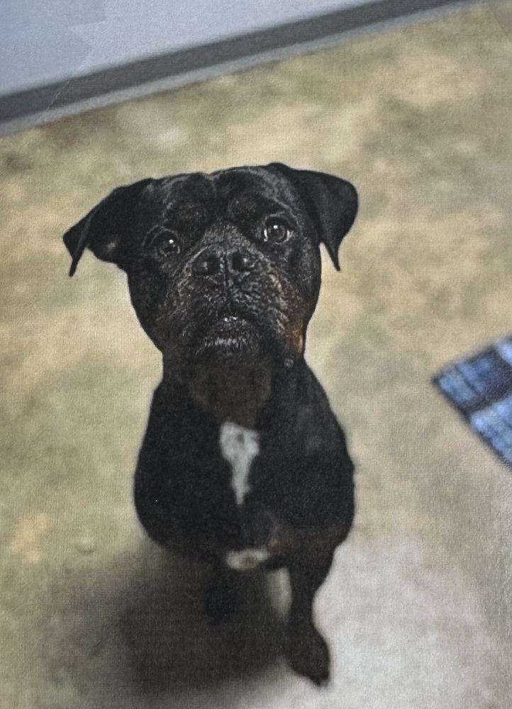 Roxy