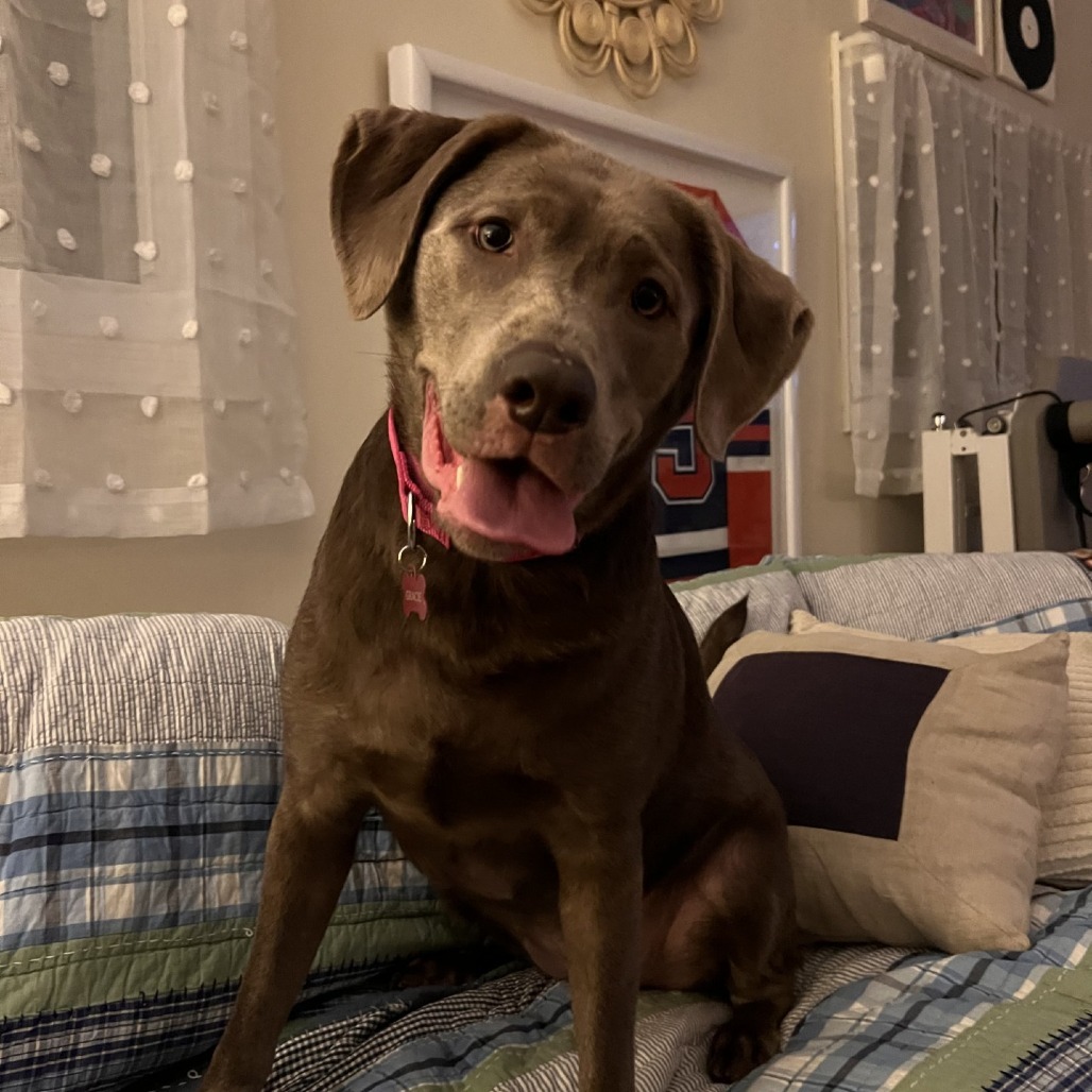 Gracie
