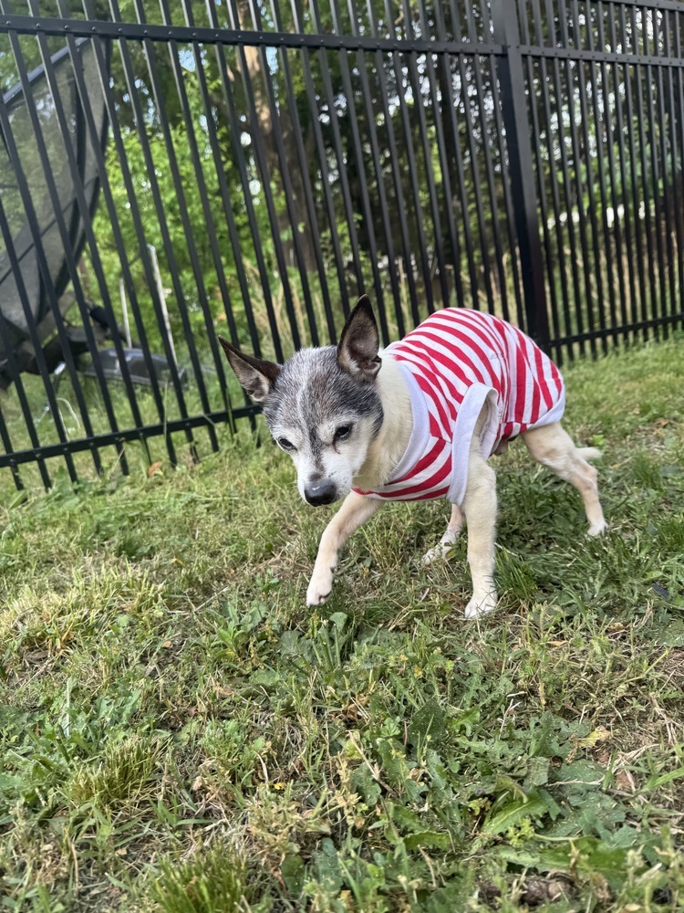 Frankie