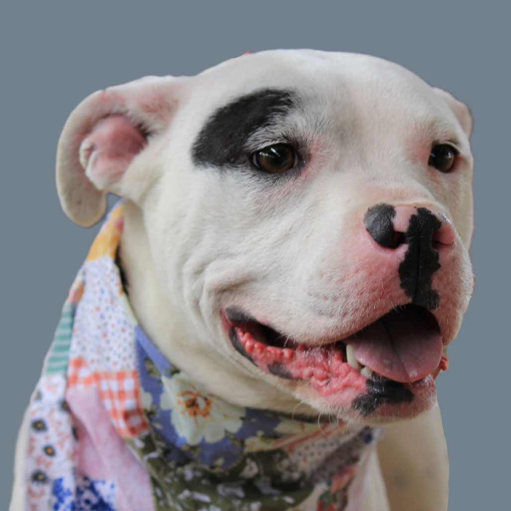 Brooklyn DWPF-006190-022425