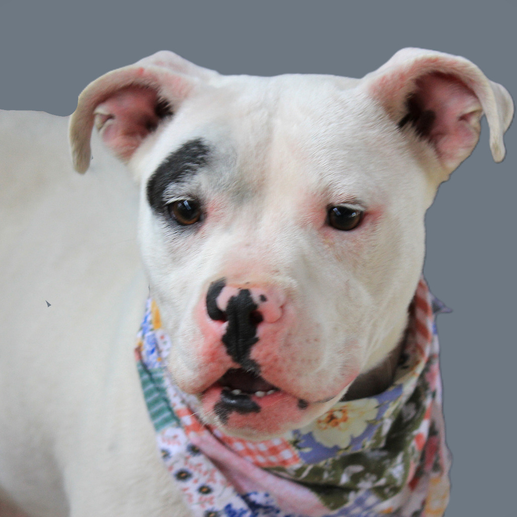 Brooklyn DWPF-006190-022425