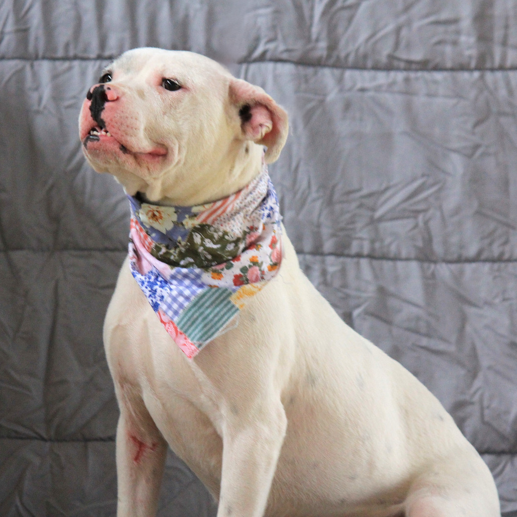 Brooklyn DWPF-006190-022425