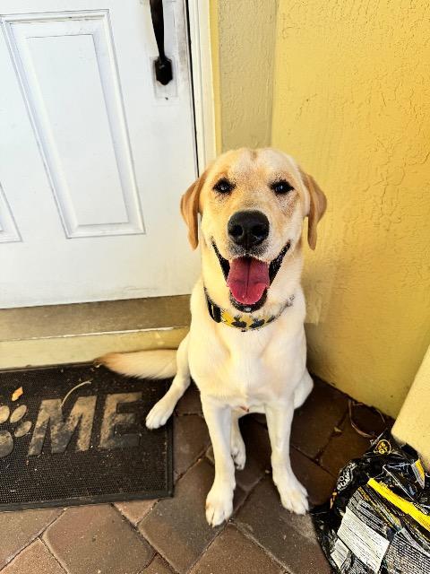 Max