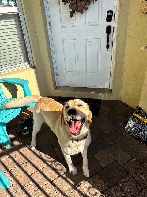 Max