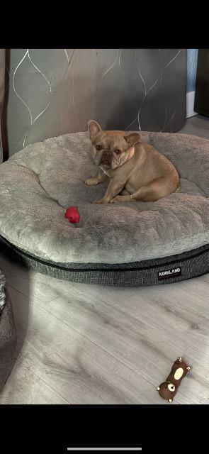Kona