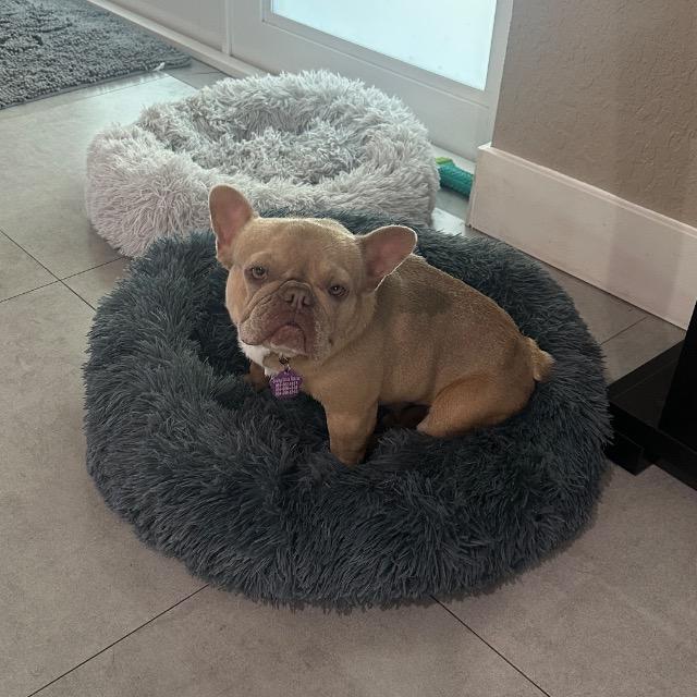 Kona