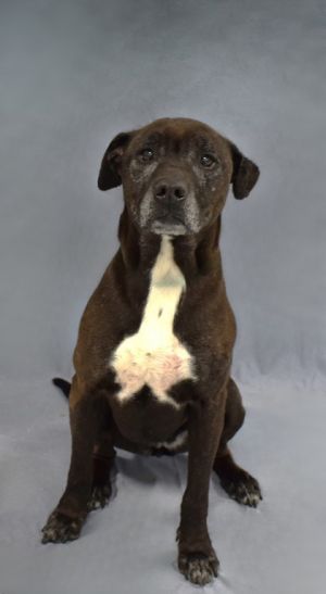 Meet Rue - Our Very Own Golden Girl Are you a fan of The Golden Girls Have you ever wished