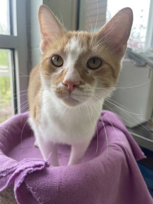 Sid