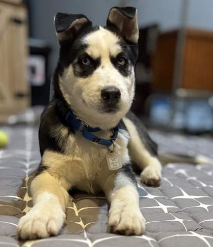 Charles