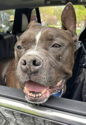 Zeus