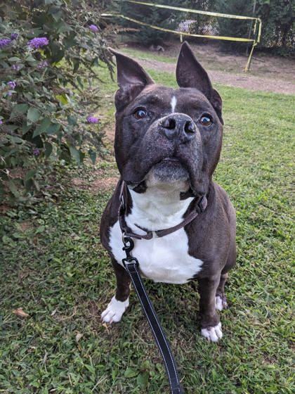 Zeus 2