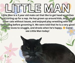 Little Man