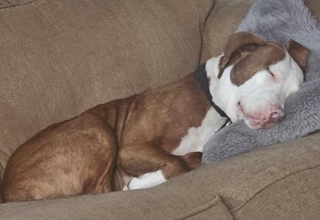 Zz Roxy - Courtesy