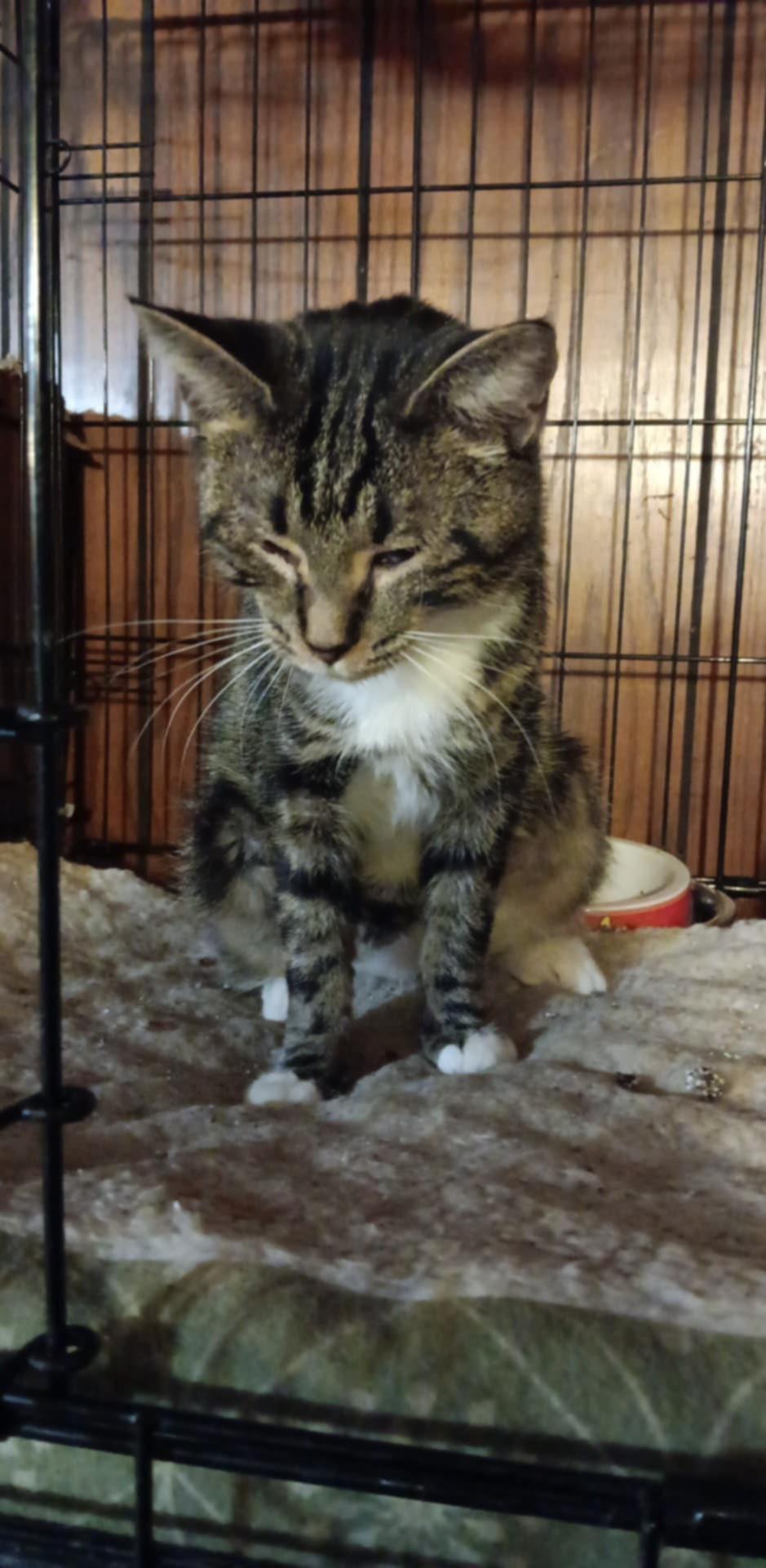 Zz Momma Millie - Courtesy