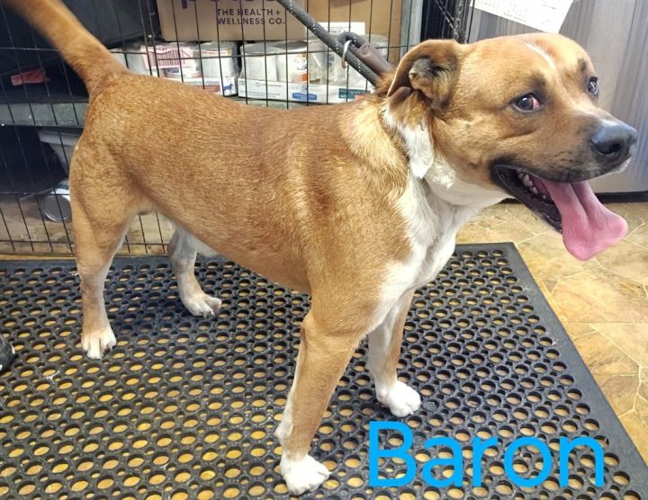 Baron 2