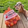 Jessica Al-baaaah photo 2